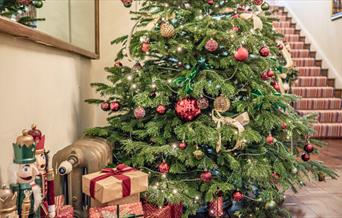 Christmas Tree At Charlton House