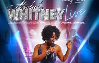Absolute Whitney