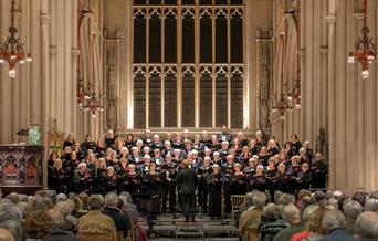 A Celebration of Psalms