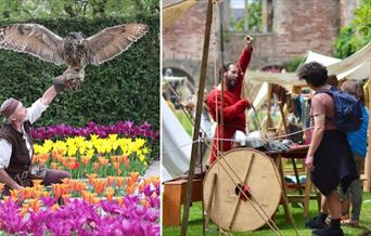 man catching a falcon on his arm