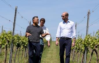 Vineyard Community Day - Leaf stripping (Sunday 3rd August)