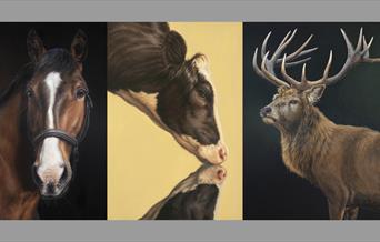Paintings of Stags, Horses and Cattle.  Oil paintings. Joanne Cope
