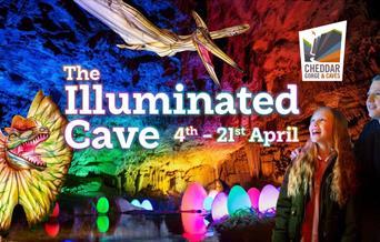 The Illuminated Cave at Cheddar Gorge and Caves