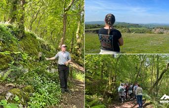 A collage of three photos showing a guided nature walk in the Mendip Hills. One image shows a ranger speaking in a lush, green woodland. Another shows