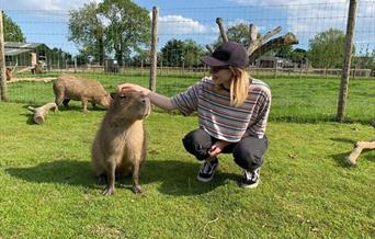 Chew Valley Animal Park
