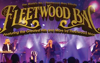 Fleedwood Bac performing on stage under pruple lights