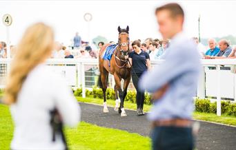 Bath Racecourse