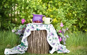 Jugs on a tree stump