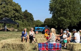 Hartley Farm - Dinner in the paddock