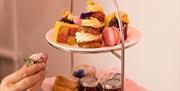 Afternoon Tea Cakes & Scones