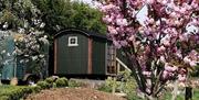 Applegates Glamping - Shepherds Hut