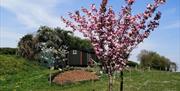 Shepherds hut exterior