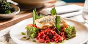 Food on plate