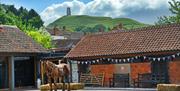 Somerset Rural Life Museum - Horse Sculpture and Barn