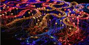 Enchanted Christmas at Westonbirt Arboretum