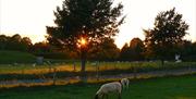 Avebury