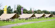 Avon Valley Adventure Park Camping
