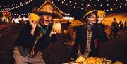 Pumpkin Patch Nights at Avon Valley Adventure and Wildlife  Park