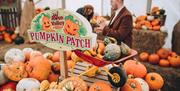 Pumpkin Patch at Avon Valley Adventure & Wildlife Park
