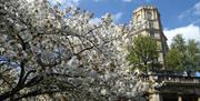 Bath Insider Tours