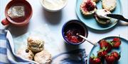 Scones, jam, and cream