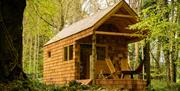 A cabin in the middle of woodland at Campwell Farm near Bath