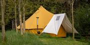 A bell tent in a field