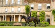 Dark brown horse and rider walking across the grounds in front of the Lucknam Park manor house.