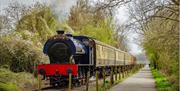 A blue engine can be seen chugging alongside the cycle path, surrounded by trees.