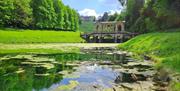 A view over the middle lake towards the Palladian Bridge on a sunny spring day.