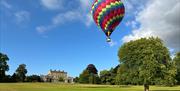 Hot air balloon