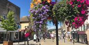 Hanging Basket - High St