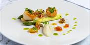 Scallops