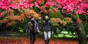 Westonbirt, The National Arboretum