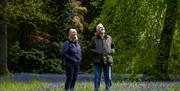 Westonbirt, The National Arboretum