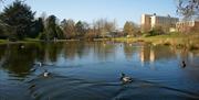 Lake on Campus, UOB