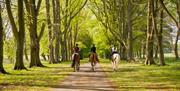 A view of three horses with riders on from behind walking down a path surrounded by green grass. The path is surrounded by an avenue of trees.