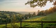 Scenic, sloping, sunny countryside view from behind a wooden fence.