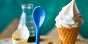 Dessert - Ice cream cone and toppings