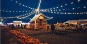 A lively nighttime pumpkin festival scene with string lights glowing overhead. People walk among displays of pumpkins and squash, including a small wo