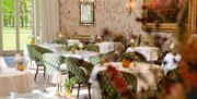 Ornate dining room with decorative wallpaper and chairs, a gold mirror and gold framed painting on the wall.