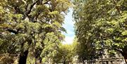 A park in Bath