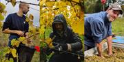 Collage. Adam harvests and processes grapes at a vineyard.