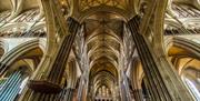 Salisbury Cathedral nave