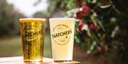 Thatchers Cider