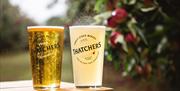 Thatchers Cider