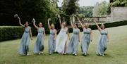 The bridal party on the lawn