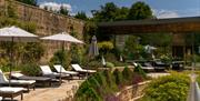 Outdoor walled garden with a row of white sunbeds and parasol and topiary outside of a glass fronted spa.