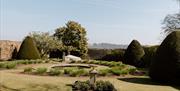 Gardens at Homewood
