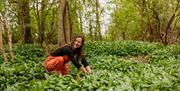 Foraging wild garlic